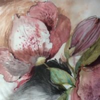 Victoria Kennedy - Helleborus orientalis