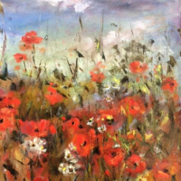 Summer Skies - Poppies