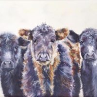The Three Amoogos -  Jo Newson