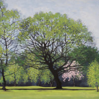 Harpenden Common Golf Course - Steve Parkes