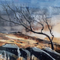 Dartmoor - Mike Rollins