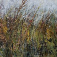 Summer Verge - Jackie Stevenson