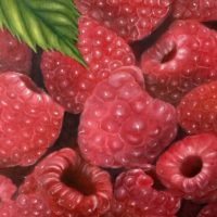 Raspberry - Yan Yun Gao