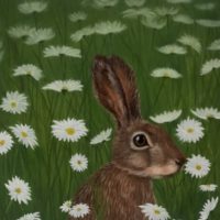 Hare Today - Kay Wardley