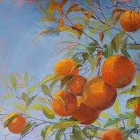 Seville Oranges - Frances Cooley