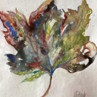 Leaf - Victoria Kennedy