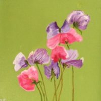 Sweet Peas - Jane Powell