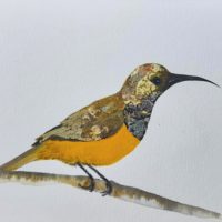 Sunbird 3 - Natalie Duncker