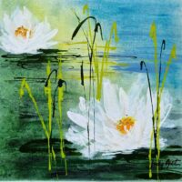 Dream Catcher - Judy Bywater