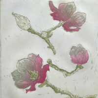 Les Magnolias - Annabel MacIver