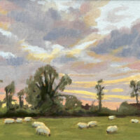 Sunset with Sheep - Jackie Henderson