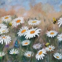 Daisies - Komathy Hawkins