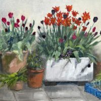 Tulips in an Old Sink - Kay Frid