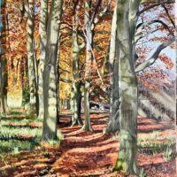 Autumn Walk in Ashridge - Melanie Harvey