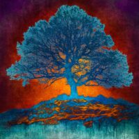 MMP 150 - N51.8521 E0.2261 - Mark Munroe-Preston