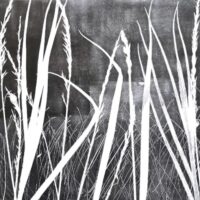 Night Reeds - Jadesola Kloss