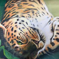 Jaguar Relaxing - Sarah Gidden