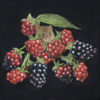 Jerry and Blackberries - Cherry Watson