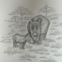 Jaseera and Benja - Stephen Humberstone