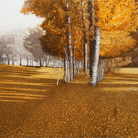 Amberlight - Phil Greenwood