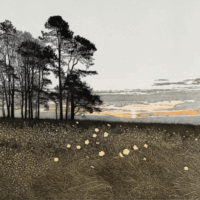 Celtic Poppies - Phil Greenwood