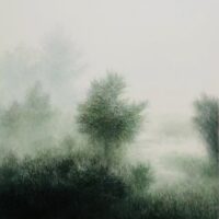 Misty Forest (2) - Yan Yun Gao