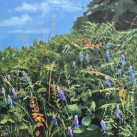 Hedgerow Flowers - Margaret Crutchley