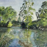 The Tranquil Lake - Helen Robinson