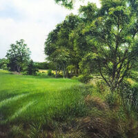 High-Summer-Field - Jack Haggle