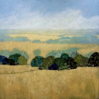 Fields of Gold - Anna Perlin