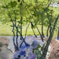 Bluebell Path - Susan Heath