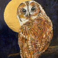Moonlight - Helen Laycock
