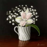 Alstroemeria - Anne Songhurst