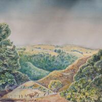 View near Dulverton in Exmoor - Peter Cooke