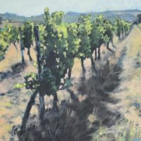 Vines, France - Pat Le Mare
