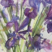 Joan's Irises - Bridget Tompkins