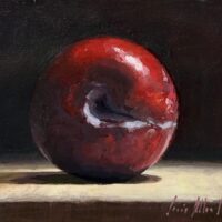 Cherry Plum - Craig Lee