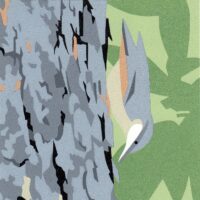 Nuthatch - Nick Wonham