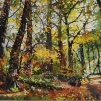 When It Rained Yellow Leaves - Caroline Matthews