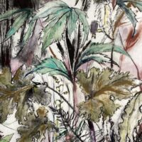 Courtyard Leaves - Victoria Kennedy