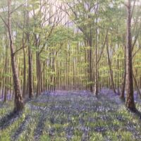 Bluebell Wood - Leon Barnes