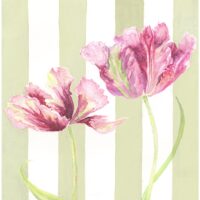 Spring Tulips 1 - Nicola Watters