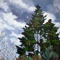 Spruce at Midday - Margaret Crutchley