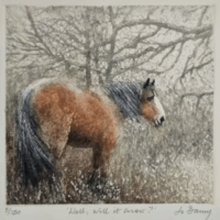 Well, Will it Snow - Jo Barry